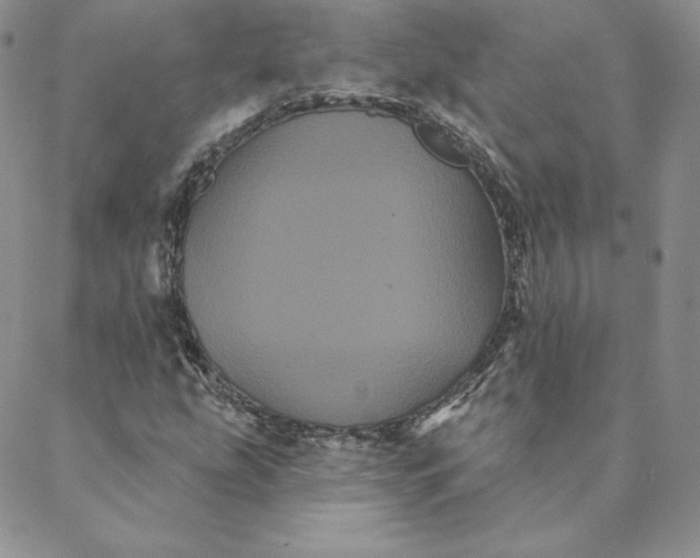 X0000088591207200706081319