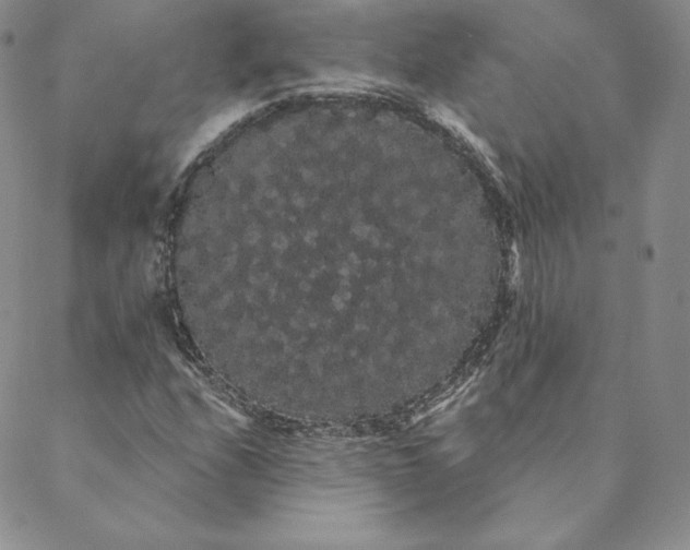 X0000088591208200706081319