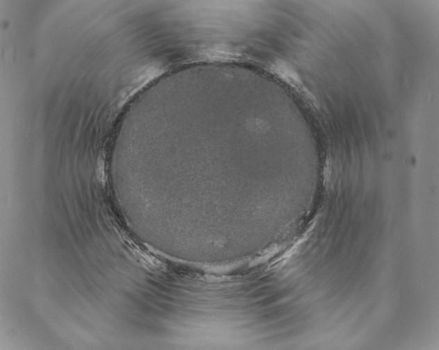 X0000088591209200706081319