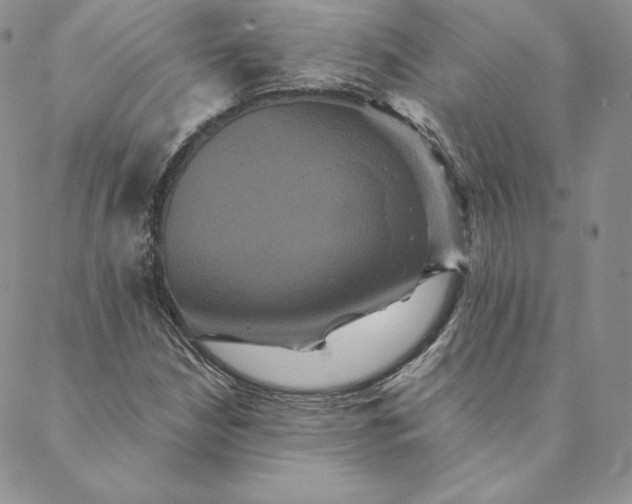 X0000088591210200706081319