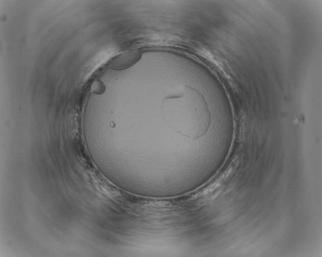 X0000088591211200706081319