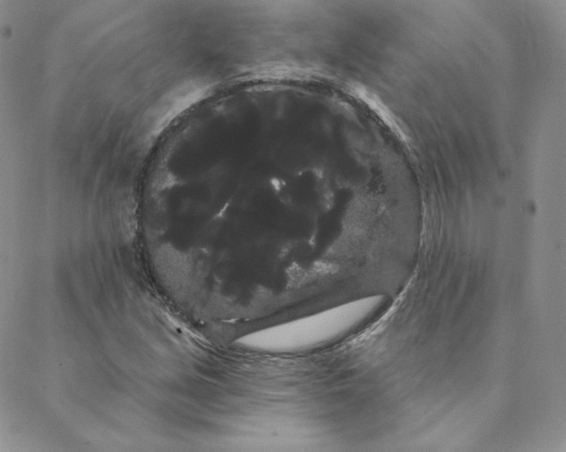 X0000088591213200706081319