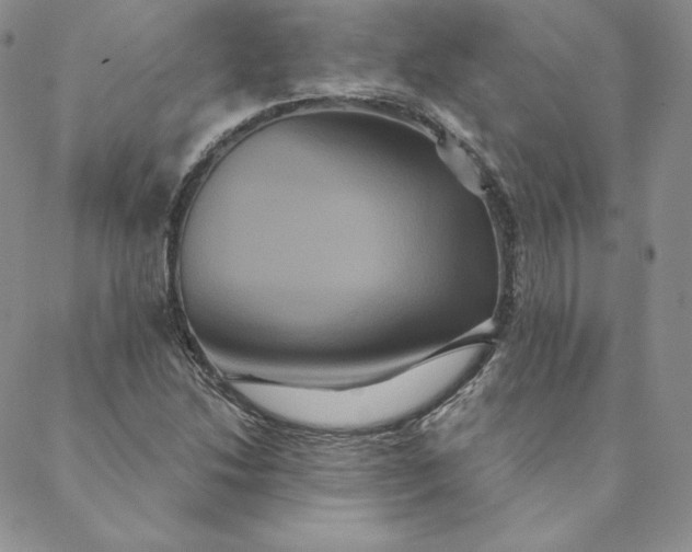 X0000088591214200706081319