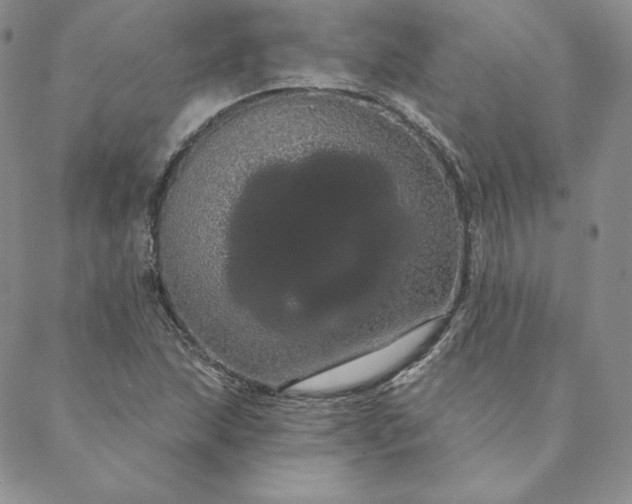 X0000088591215200706081319