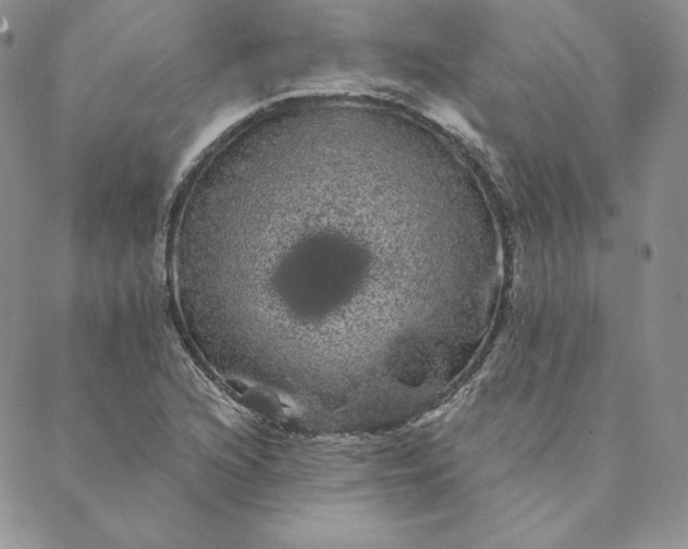 X0000088591216200706081319