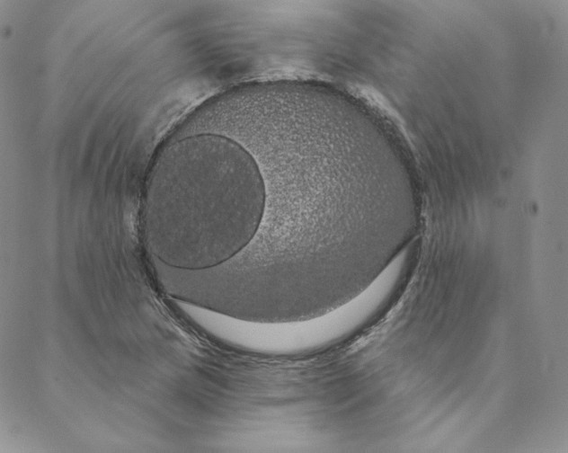 X0000088591217200706081319