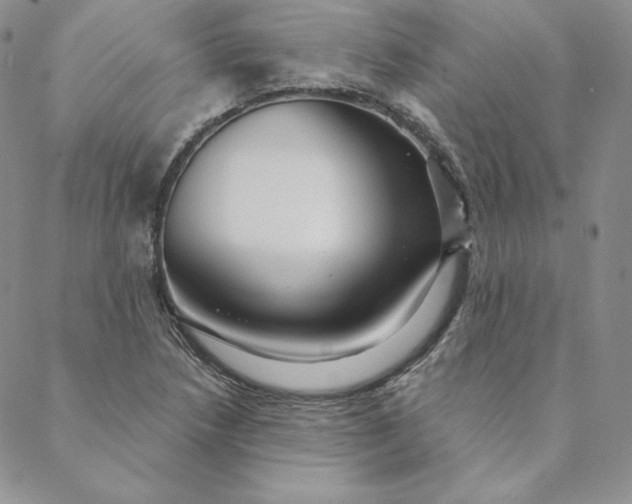 X0000088591218200706081319