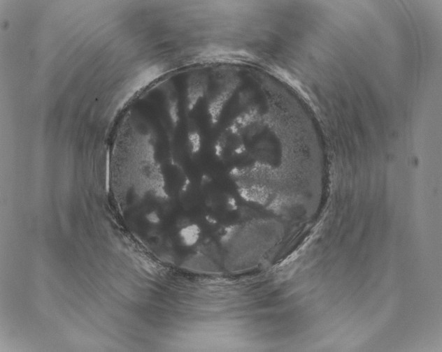 X0000088591219200706081319