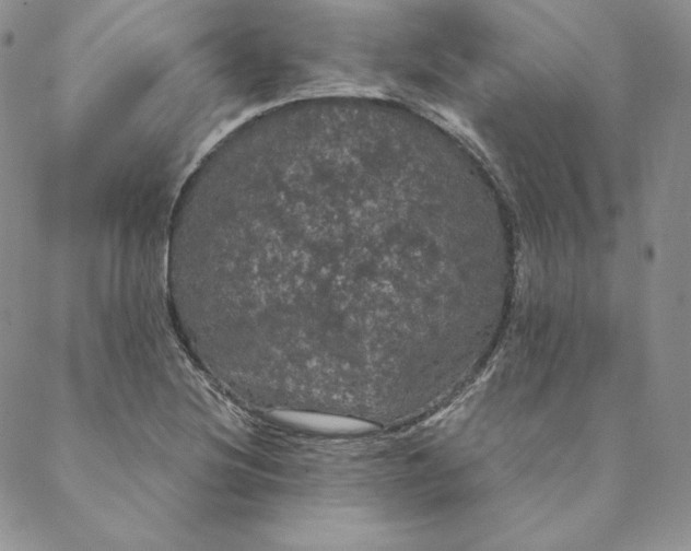 X0000088591220200706081319