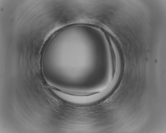 X0000088591222200706081319