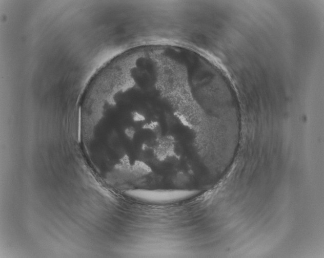 X0000088591223200706081319