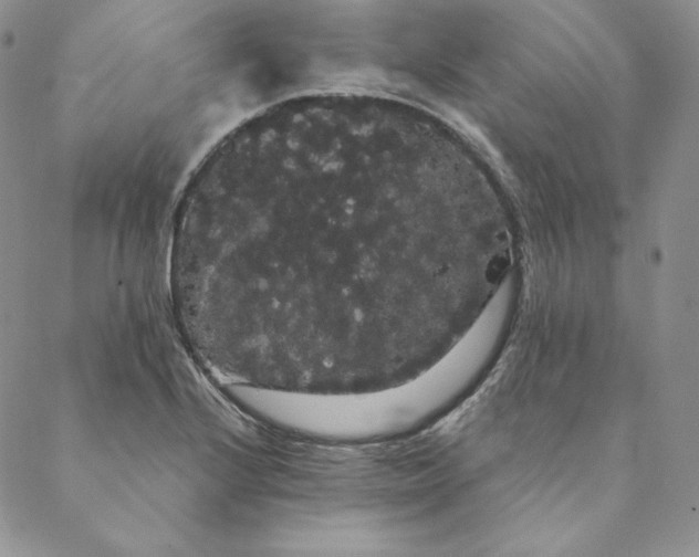 X0000088591224200706081319