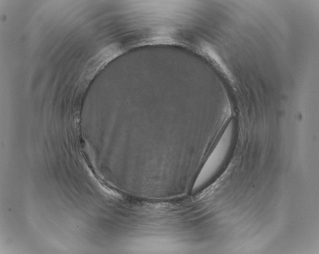 X0000088591225200706081319