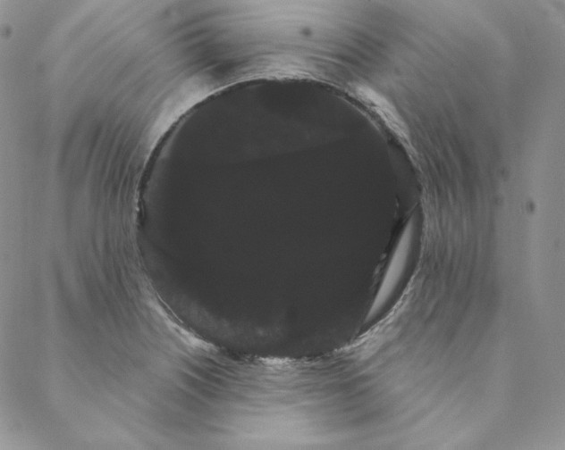 X0000088591226200706081320