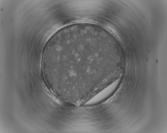 X0000088591228200706081320