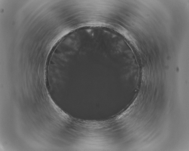 X0000088591229200706081320