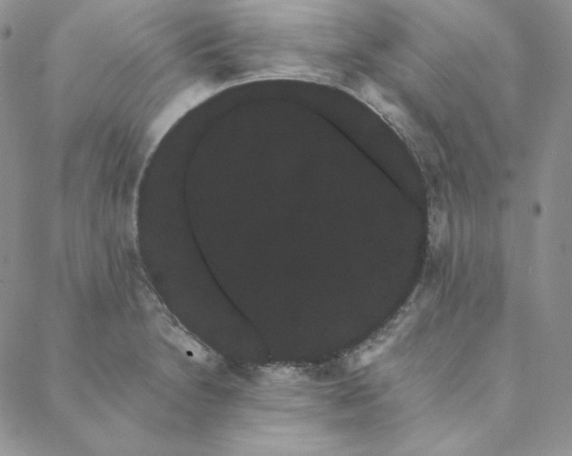 X0000088591230200706081320