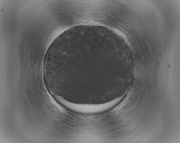 X0000088591231200706081320