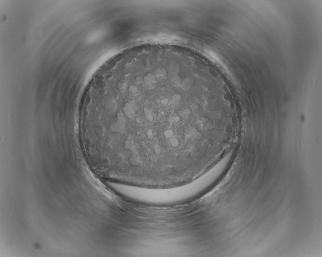 X0000088591232200706081320