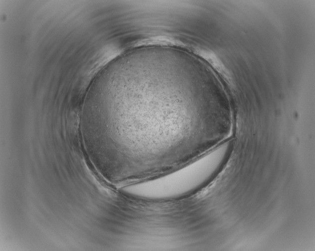 X0000088591233200706081320