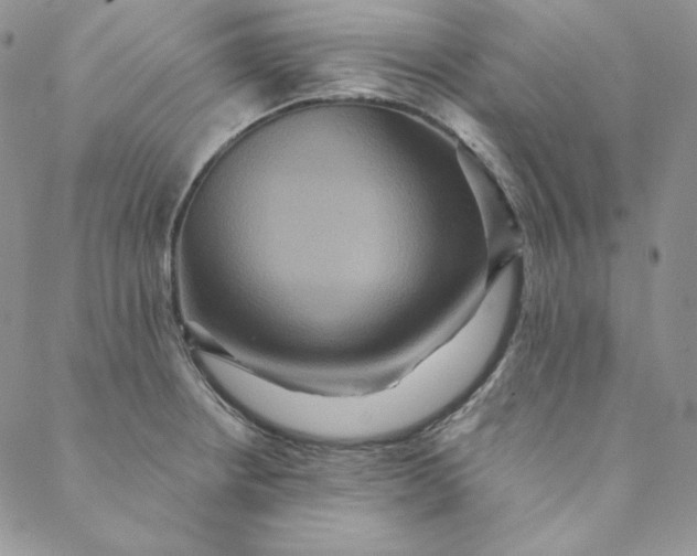 X0000088591234200706081320