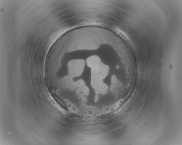 X0000088591236200706081320