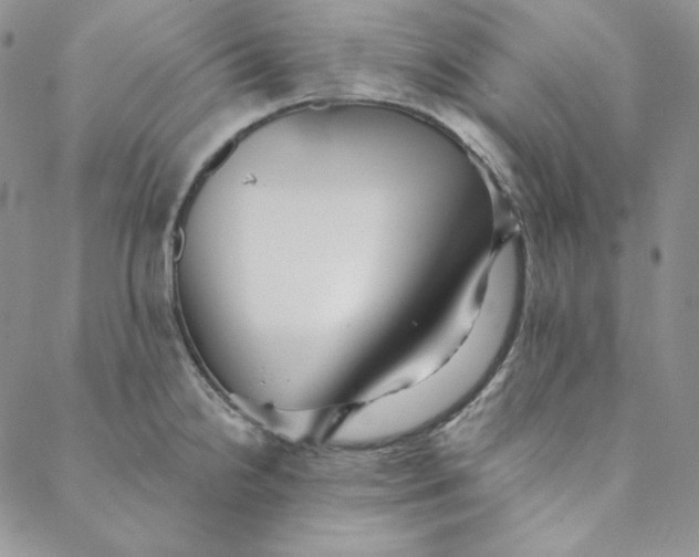 X0000088591238200706081320