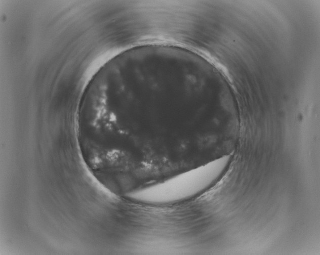 X0000088591239200706081320