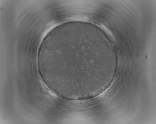 X0000088591240200706081320