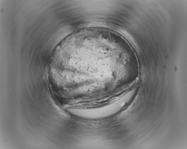 X0000088591241200706081320