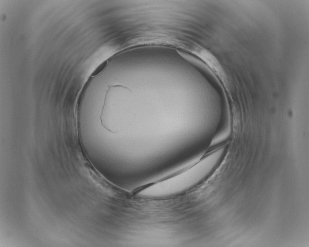 X0000088591242200706081320