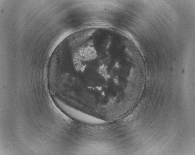 X0000088591243200706081320