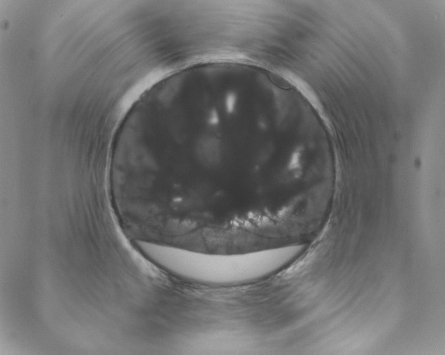 X0000088591245200706081320