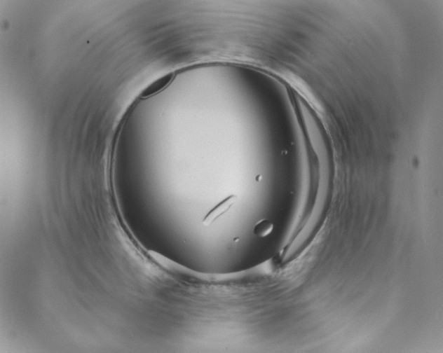 X0000088591246200706081320