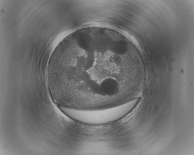 X0000088591247200706081320