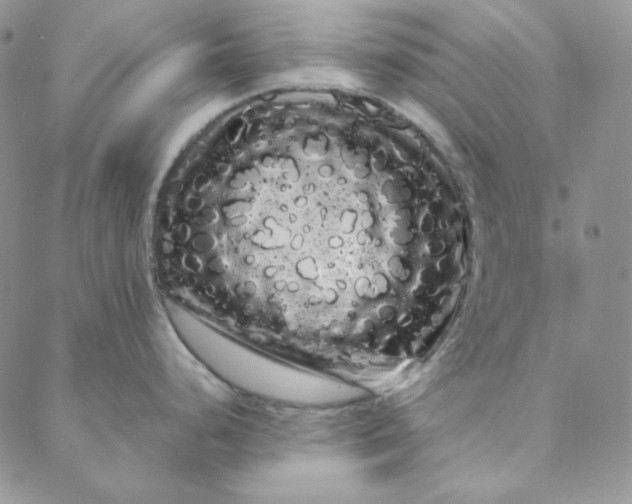 X0000088591248200706081320