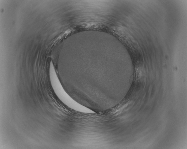 X0000088591250200706081319