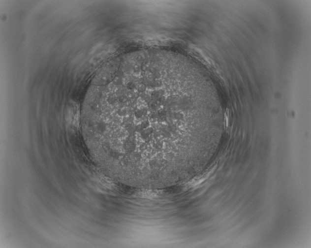 X0000088591251200706081319