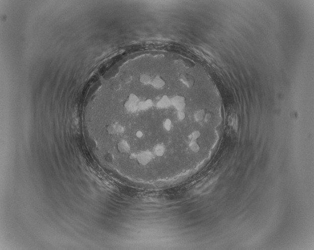 X0000088591252200706081319