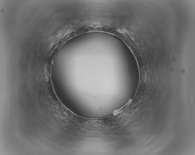 X0000088591253200706081319