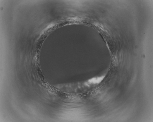 X0000088591254200706081319