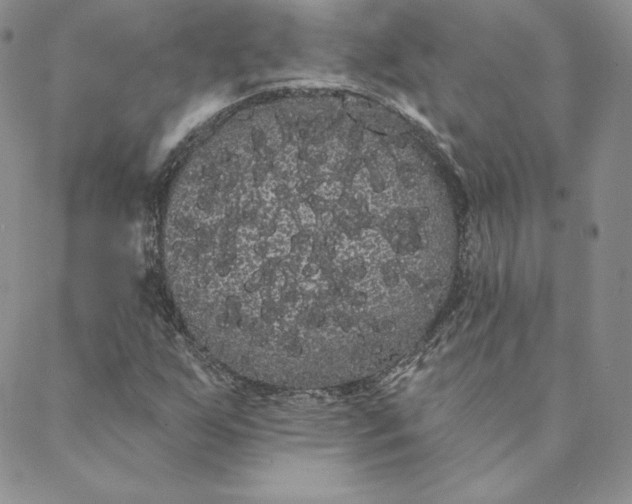 X0000088591255200706081319