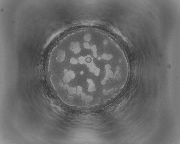 X0000088591256200706081319