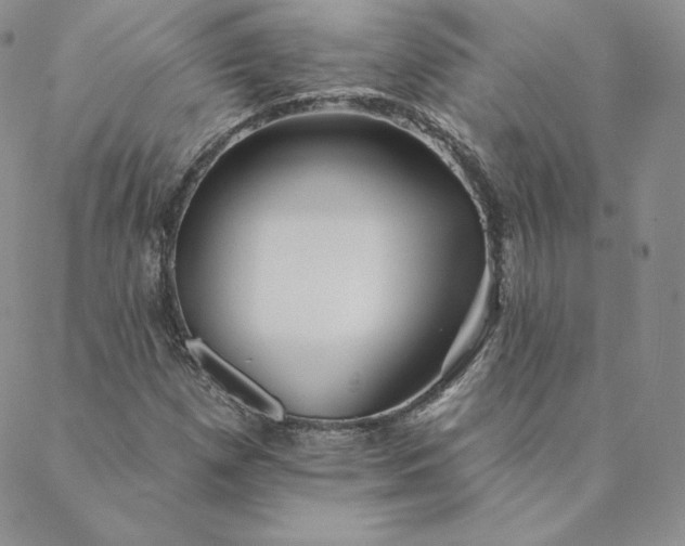 X0000088591257200706081319