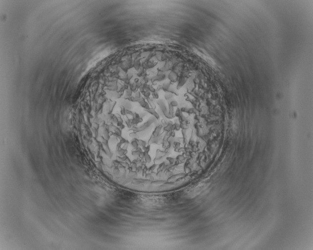 X0000088591258200706081319