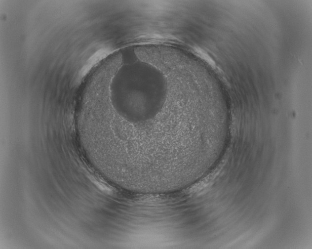 X0000088591259200706081319