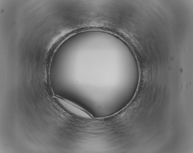 X0000088591262200706081319