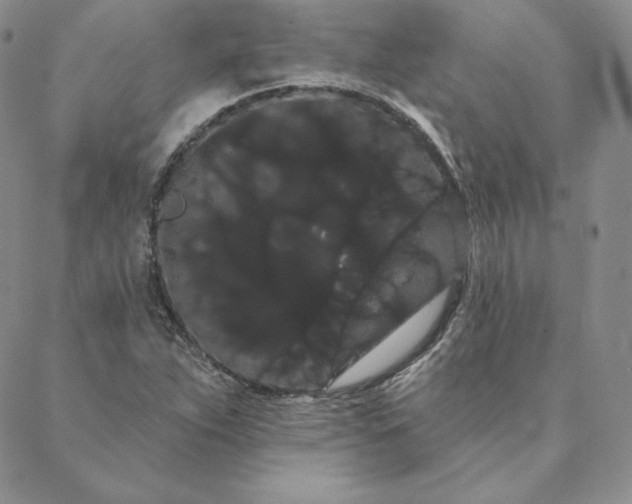 X0000088591263200706081319