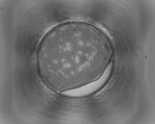 X0000088591264200706081319