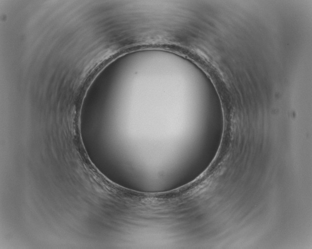 X0000088591265200706081319